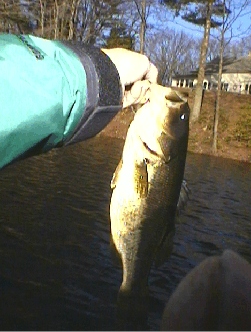 2nd Bass