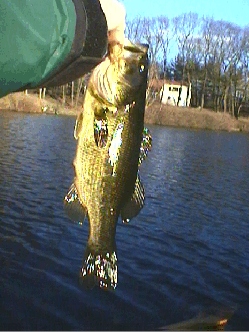3rd Bass