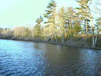 Lake in front of house