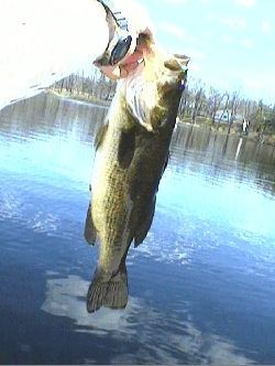 Bass 2nd day