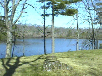 View from the house