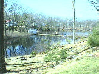 Swimmin Area