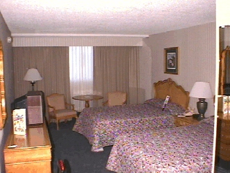 Beds towards window