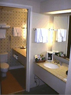 Wyndam Anatole Room -- Bath
