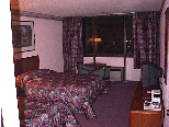 The Radisson Hotel