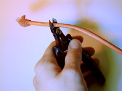 hand with cable clippers cutting cable